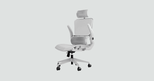 エルゴノミックチェア W-257